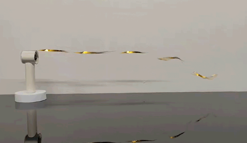2025062523014994179b1.gif