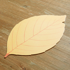 ³ë¶û³«¿±_½½¸²¸ð¾çÇü (310*177mm)