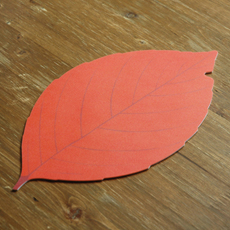 »¡°³«¿±_½½¸²¸ð¾çÇü (310*177mm)