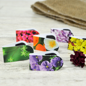 ÀÚ¼®Ã¥°¥ÇÇ_²É