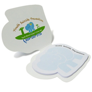 ǥ޸ (ڳ-100 * 70mm)