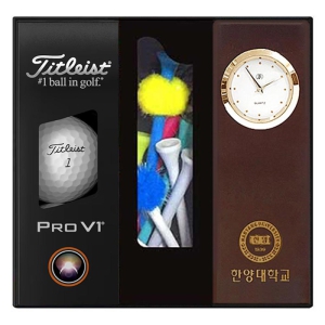 ŸƲƮ PRO V1  Ʈ 3 384(PRO v1 3 + Ƽ12 + ð Ʈ)