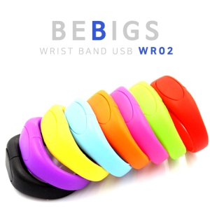 ºñºò½º WR02 ¹êµå USB¸Þ¸ð¸® (4GB-64GB)