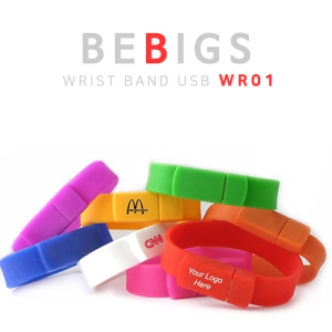 ºñºò½º WR01 ¹êµåUSB¸Þ¸ð¸® (4GB~64GB)