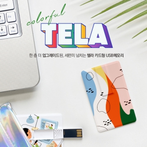 ÀÌÃ÷ ÅÚ¶ó Ä«µåÇü USB¸Þ¸ð¸® (8GB~128GB)