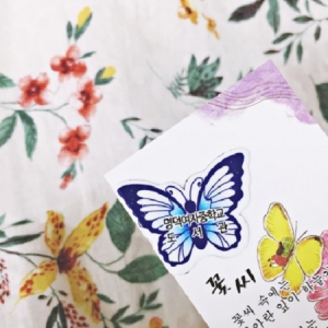 ÀÚ¼®Ã¥°¥ÇÇ-¸í´ö¿©Áßµµ¼°ü