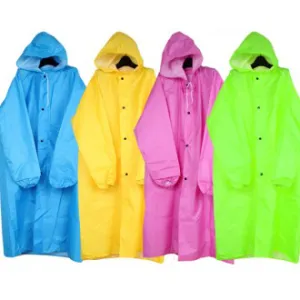 �н��� �����