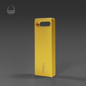 Æú¶ó(POLA) GU250 °ñµå USB (4G~128G)