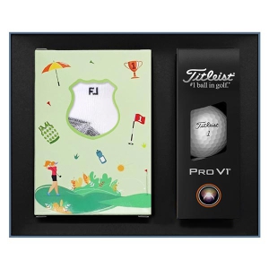 Ÿ��Ʋ����Ʈ PRO V1 S3_776 ������Ʈ[3��+ǲ���̰����縻]