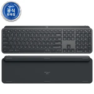 ������ �ڸ��� ��ǰ Ű���� MX KEYS S