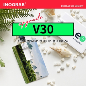 À̳ë±×·¦ V30 Ä«µåÇü USB3.0 (16GB~256GB)