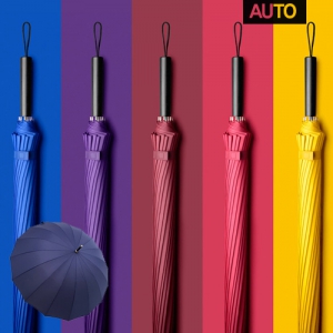 소장욕구 자동 장우산 / AUTO (85cm) | 장우산 판촉물 제작