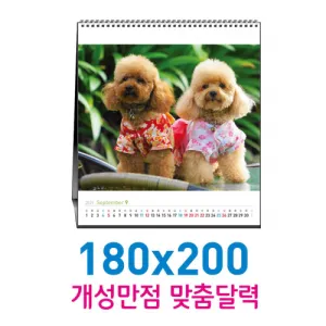 [독판-주문제작]탁상180x200카렌다 | 독판제작 맞춤형달력 판촉물 제작