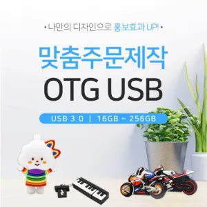[����Ʈ����] �ֹ����� ĳ���� CŸ�� OTG�޸� 3.0 (16G-64G)