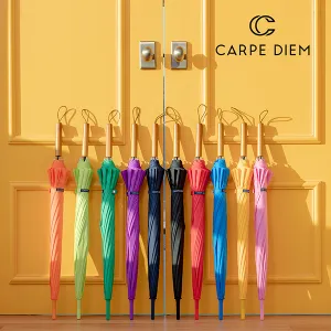 ī����� ����Ʈ 55*12K ��� ���� (S021)