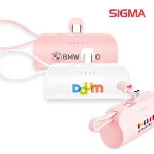 ½Ã±×³Î ÀÏüÇü µµÅ·Çü ¹Ì´Ïº¸Á¶¹èÅ͸® 5000mAh