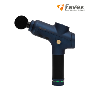 ÆÄº¤½º BLDC °Ç¾È¸¶±â FX-2014BM