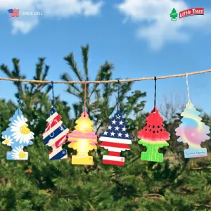 ��ƲƮ�� ������ 6P