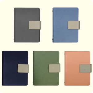 25Àý ³×¿À ÀÚ¼®½Ã½ºÅÛ ´ÙÀ̾