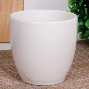 ��Ʈ�󺻹���
