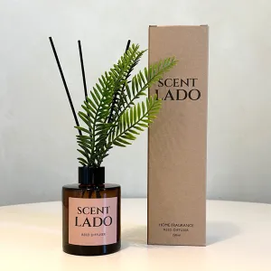 ��Ʈ�� ��ǻ�� ��Ʋ������Ʈ 150ml