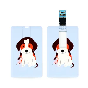 �������丮�� ī���� USB3.0�޸�(16GB~128GB)