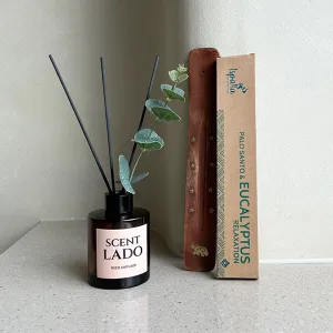 ��Ʈ�� ��ǻ�� ��Į������ 150ml + �̽��ȶ� �ȷλ��� �μ��� ��ƽ ������ ��Ʈ