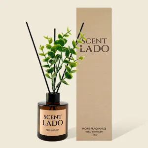 ��Ʈ�� ��ǻ�� ��ī�� 150ml