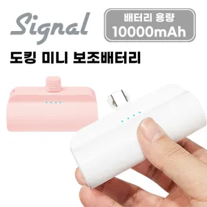 [�ñ׳�] ��뷮 ��ŷ�̴� �������͸� 10000mAh (CŸ��)