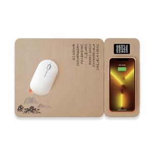 ÈÆ¹ÎÁ¤À½ ¹«¼±ÃæÀü ¸¶¿ì½ºÆÐµå 2IN1 ºÐ¸®Çü LED  Light