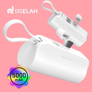 desleah 𼿶 5000mAh 2 in 1 ̴ ŷ ͸