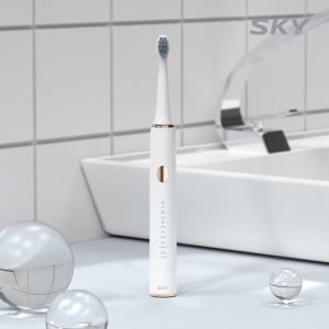 ½ºÄ«ÀÌ Äɾî ST10 CŸÀÔ ÃæÀü½Ä ¹æ¼ö À½ÆÄ Àüµ¿Ä©¼Ö