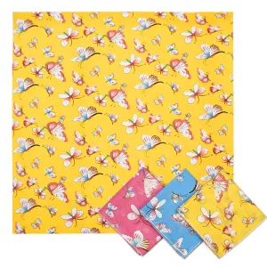 ���� ��ī�� ��������