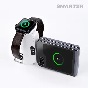 ������ ��ü�� �������͸� 5000mAh (��ġ��������) STPB-DBW50(20W)