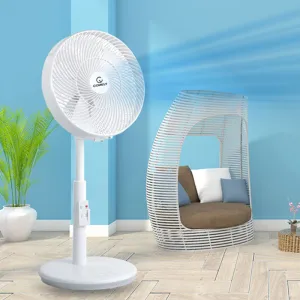 �ڸḮ ������ ������ ������ ��ǳ��(1900)