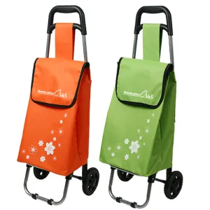 �̴� �ɹ��� ���� ĳ���� (310x200x870mm)