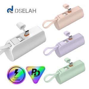 desleah 𼿶 ÷  5000mAh 2 In 1 PD20W ӹ̴ ŷ ͸