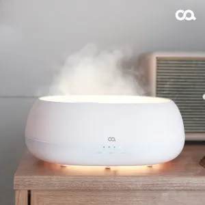 ���� �Ȱ�1000 ����� �̴� ������