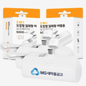 ·ç¾ß½º 2in1 µµÅ·Çü ¹Ì´Ï ¼ÒÇü º¸Á¶¹èÅ͸® 5000mAh