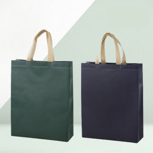 ¿Ã·Î ÄÚÆÃ ºÎÁ÷Æ÷ ¼¼·ÎÇü ¼îÇÎ¹é º¸Á¶°¡¹æ Çпø°¡¹æ