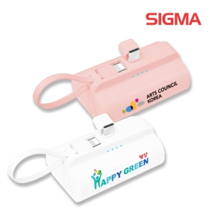 ½Ã±×³Î µà¾ó 10,000mAh µµÅ·Çü º¸Á¶¹èÅ͸® CŸÀÔ 8ÇÉ ÀÏüÇü