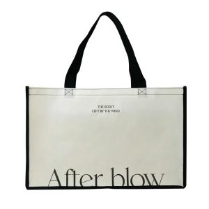 MÀÚÇü ºÎÁ÷Æ÷°¡¹æ_¾ÖÇÁÅÍ ºí·Î¿ì (500x200x320mm)