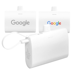 ºñÁî 2in1 µµÅ· º¸Á¶¹èÅ͸® 10,000mAh PM100