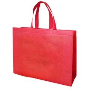 ·ÎÆä¸®¾Æ ÇÁ·¹½º ÀÔü ºÎÁ÷Æ÷ ¼îÇιé(Áß)°¡·ÎÇü(40x30x10)(0190409)