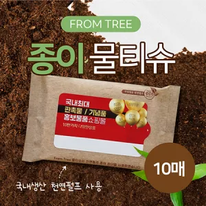 ����Ʈ�� ���̹�Ƽ��(���������) 10��