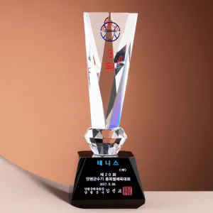 ũ����Ż Ʈ���� SAM24T214