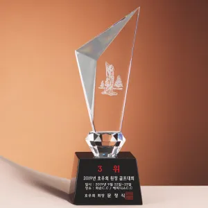 ũ����Ż Ʈ���� SAM24T216