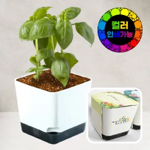 �簢ȭ��Ʈȭ��