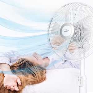 5¿± ³¯°³ ¸®¸ðÄÁÇü ½ºÅÙµå ¼±Ç³±â