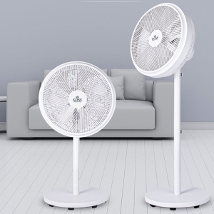 7¿± ³¯°³ Á¼®&½ºÅÄµå °â¿ë ¼±Ç³±â